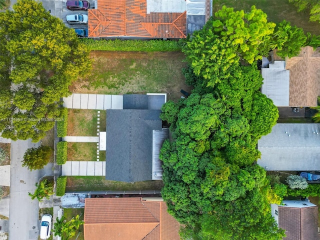 bird's eye view