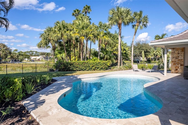 view of swimming pool with a patio