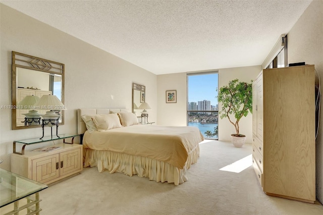 carpeted bedroom with a water view, a textured ceiling, and access to outside