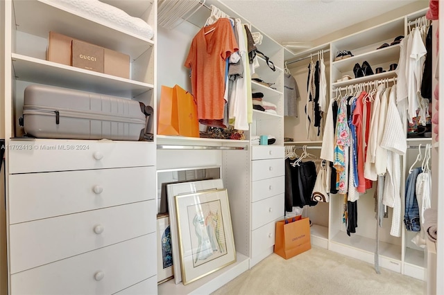 spacious closet with light carpet