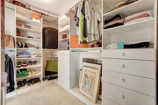 walk in closet featuring light colored carpet