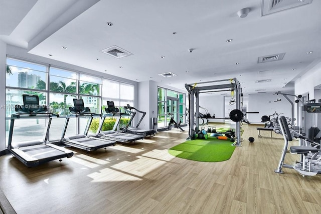 workout area featuring hardwood / wood-style floors and a wall of windows