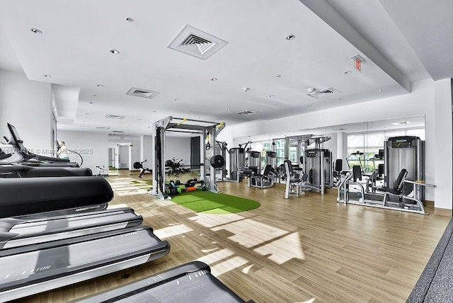 gym featuring hardwood / wood-style flooring