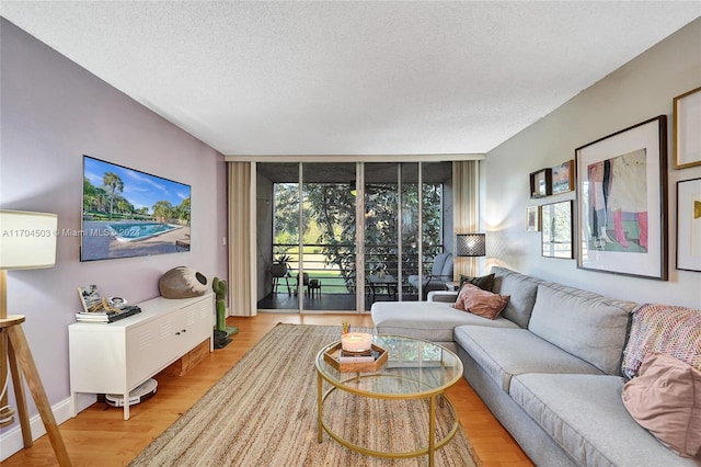 living room featuring light hardwood / wood-style flooring and a textured ceiling