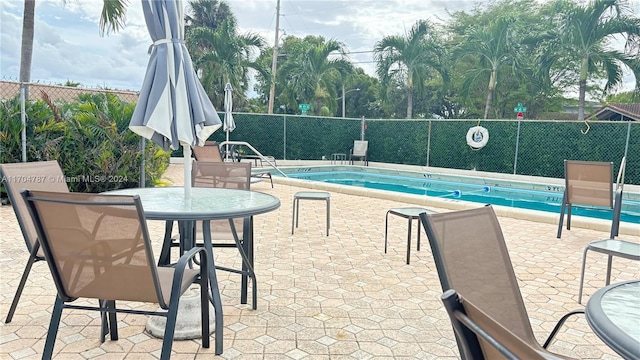 view of swimming pool with a patio