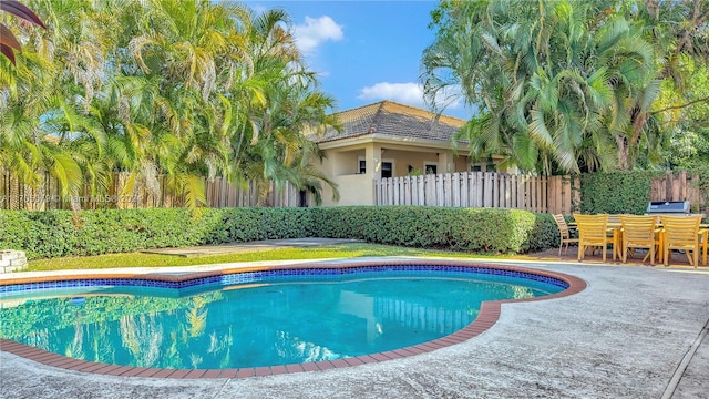 view of swimming pool featuring a patio area