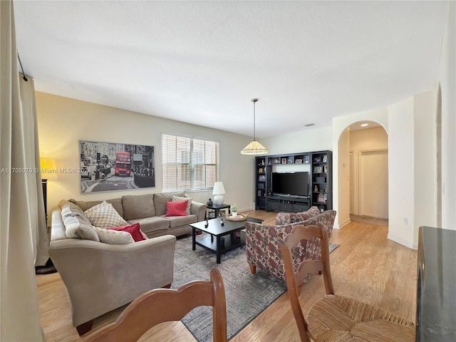 living room featuring light hardwood / wood-style flooring