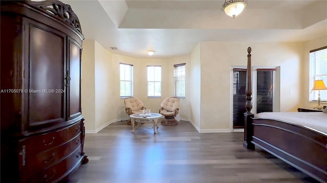 bedroom featuring a raised ceiling, multiple windows, and dark wood-type flooring