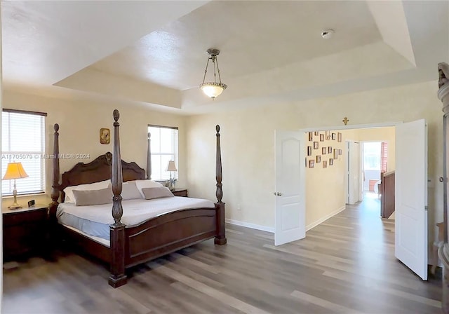 bedroom with hardwood / wood-style floors and a tray ceiling