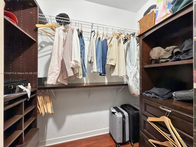 spacious closet featuring dark wood-type flooring