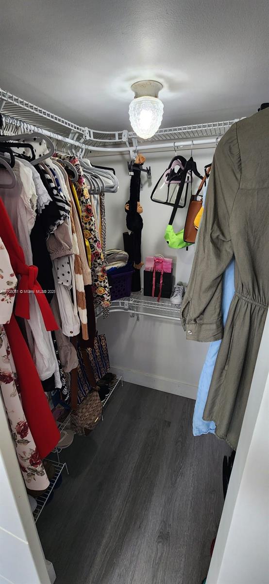 walk in closet with dark wood-type flooring