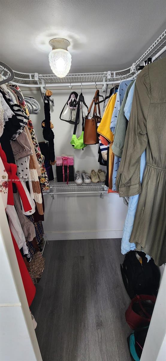 spacious closet with dark hardwood / wood-style flooring