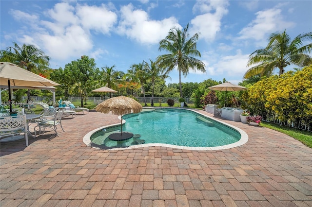 view of swimming pool with a patio area