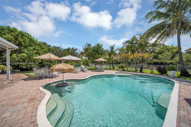 view of swimming pool featuring a patio