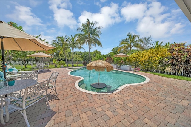 view of swimming pool with a patio