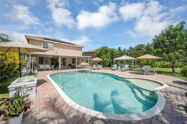 view of pool featuring a patio area