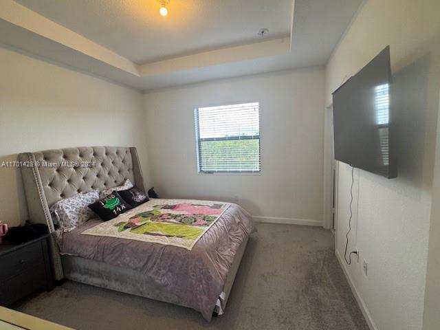 carpeted bedroom featuring a tray ceiling