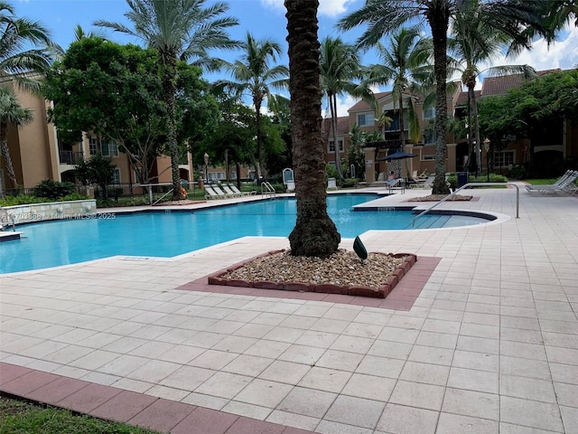 view of swimming pool featuring a patio