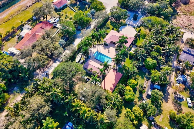 drone / aerial view