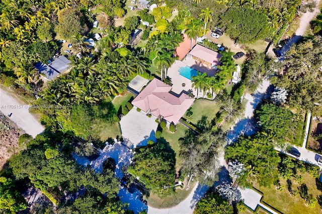 aerial view