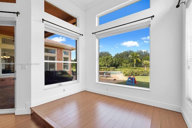 spare room featuring hardwood / wood-style flooring and ornamental molding