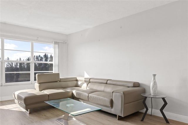 living room with light hardwood / wood-style floors and a textured ceiling