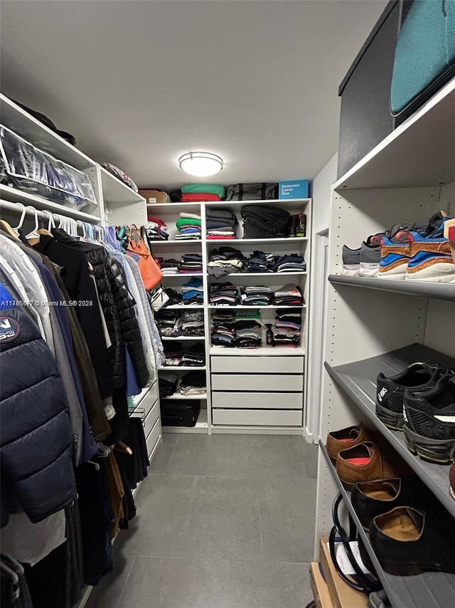 view of spacious closet