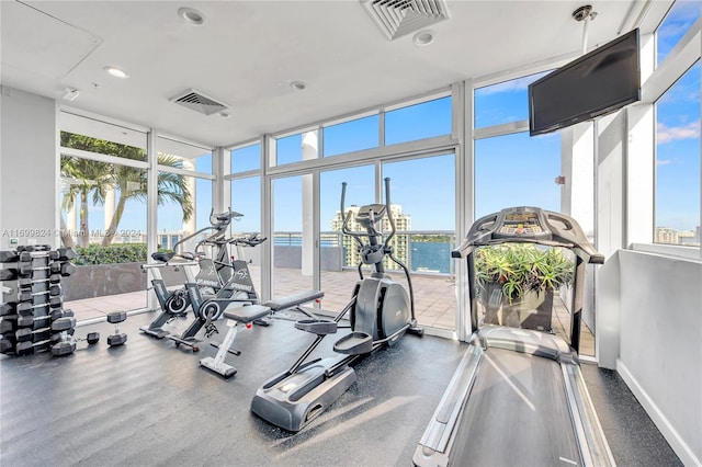 gym with expansive windows