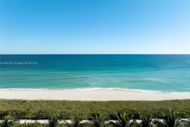 view of water feature featuring a view of the beach