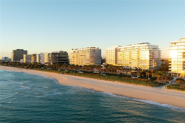 view of water feature featuring a beach view