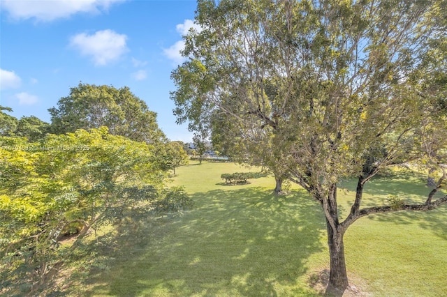 3029 Berkshire B 3029, Deerfield Beach, FL 33442 - view of yard