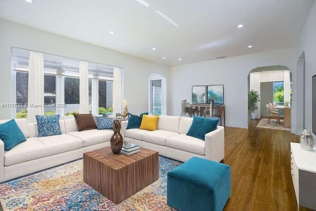 living room featuring dark wood-type flooring