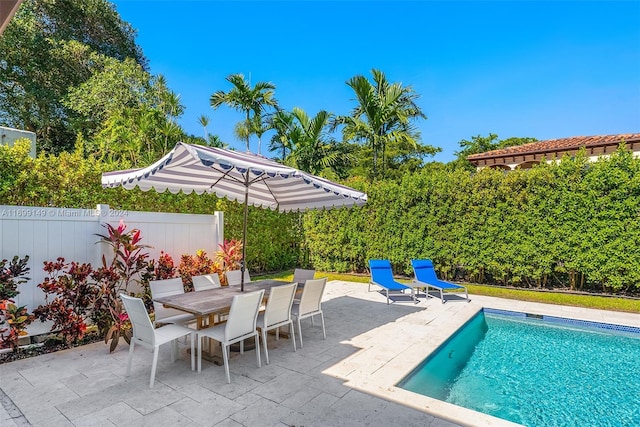 view of pool featuring a patio