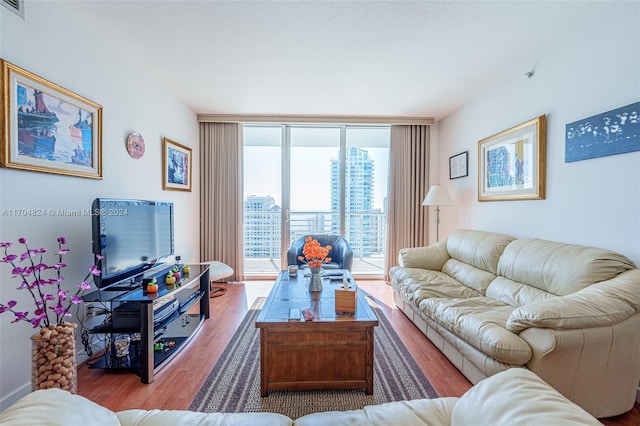 living room with floor to ceiling windows and light hardwood / wood-style flooring