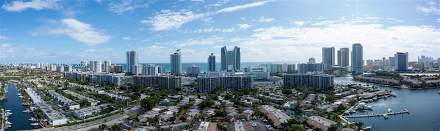 view of city featuring a water view