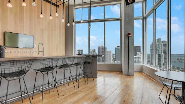 kitchen with plenty of natural light, a kitchen breakfast bar, a water view, and light hardwood / wood-style flooring