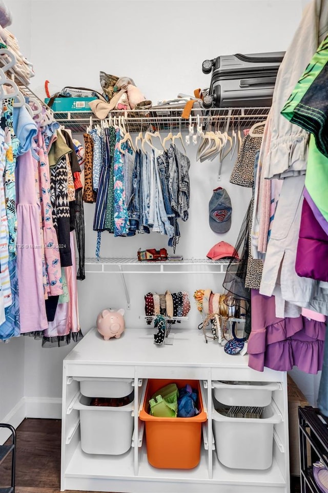 spacious closet with dark hardwood / wood-style floors