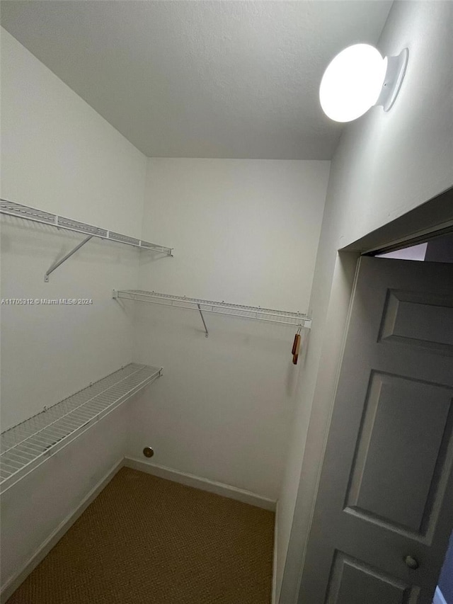 walk in closet with carpet floors