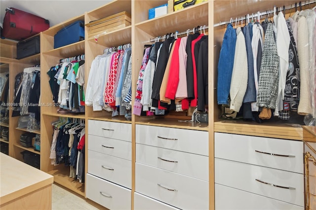 view of walk in closet