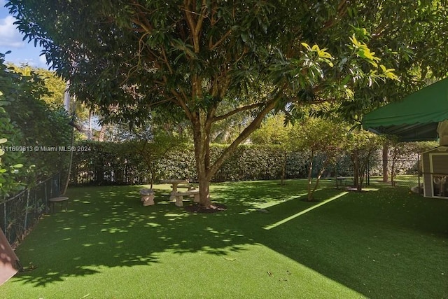 7001 Robles St, Coral Gables, FL 33143 - view of yard