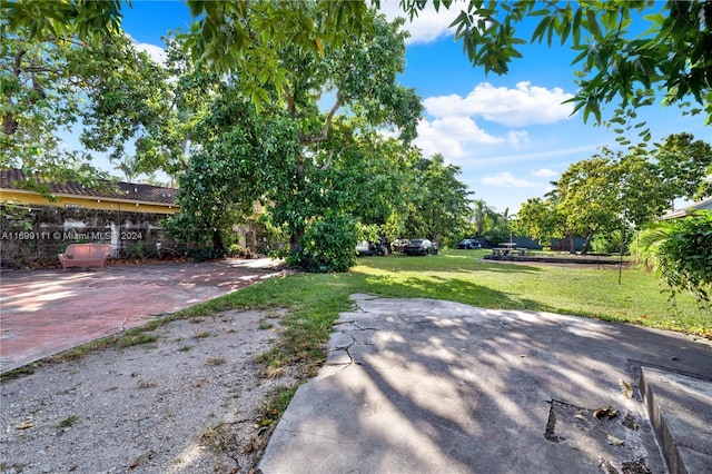 view of yard