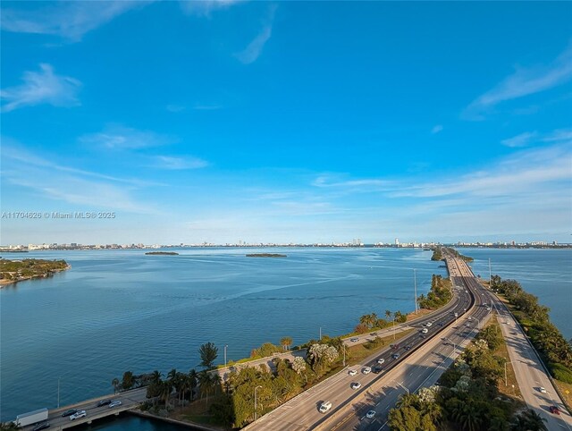 drone / aerial view with a water view