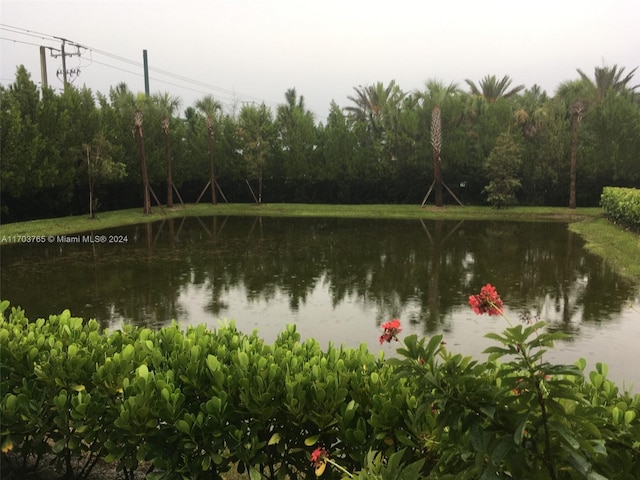 view of water feature