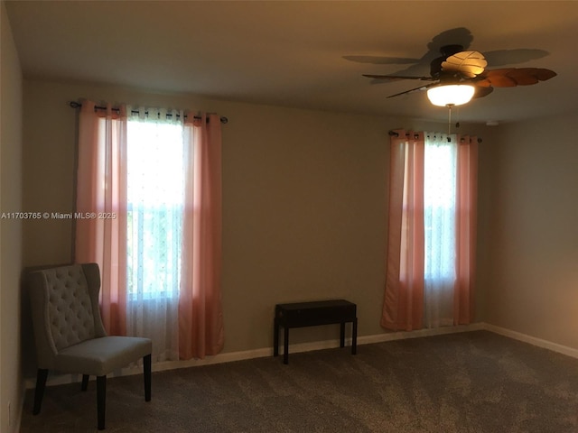 interior space with carpet, baseboards, and a wealth of natural light