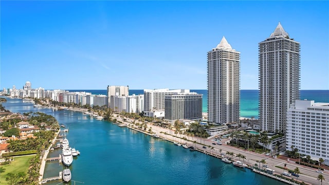 bird's eye view with a water view