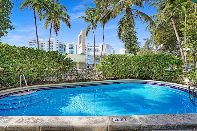 view of swimming pool