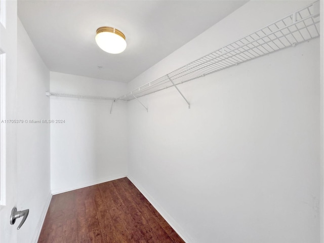 spacious closet featuring dark wood-type flooring