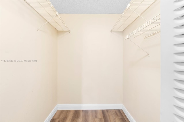 walk in closet with wood-type flooring