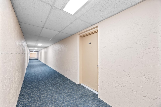 corridor with a paneled ceiling and carpet floors