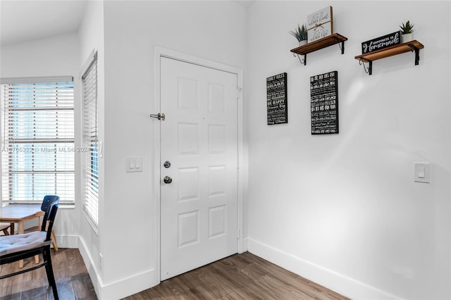 foyer with hardwood / wood-style flooring